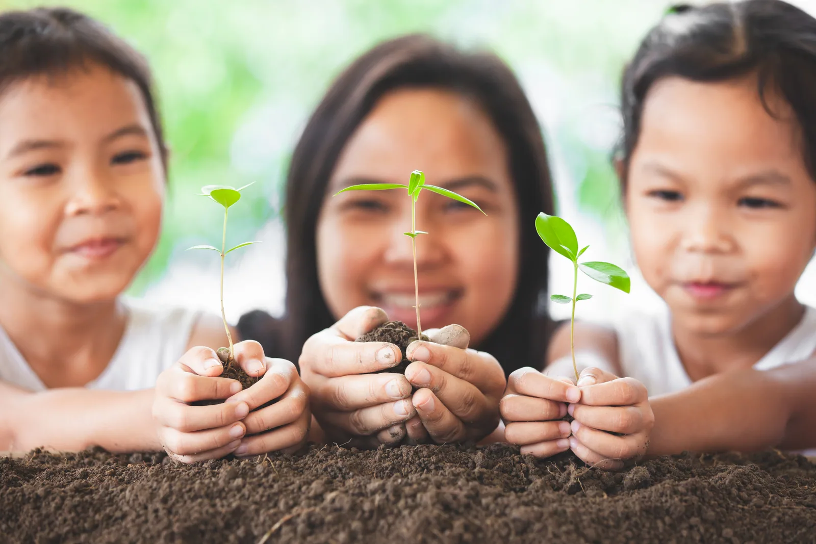 A family holding young plants together